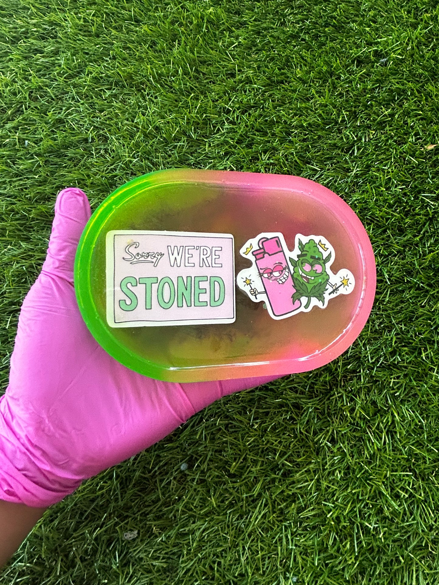 Fairly Odd Parents Tray
